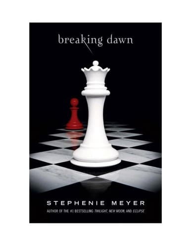 Electronic resource · Little, Brown Books for Young Readers · 2008