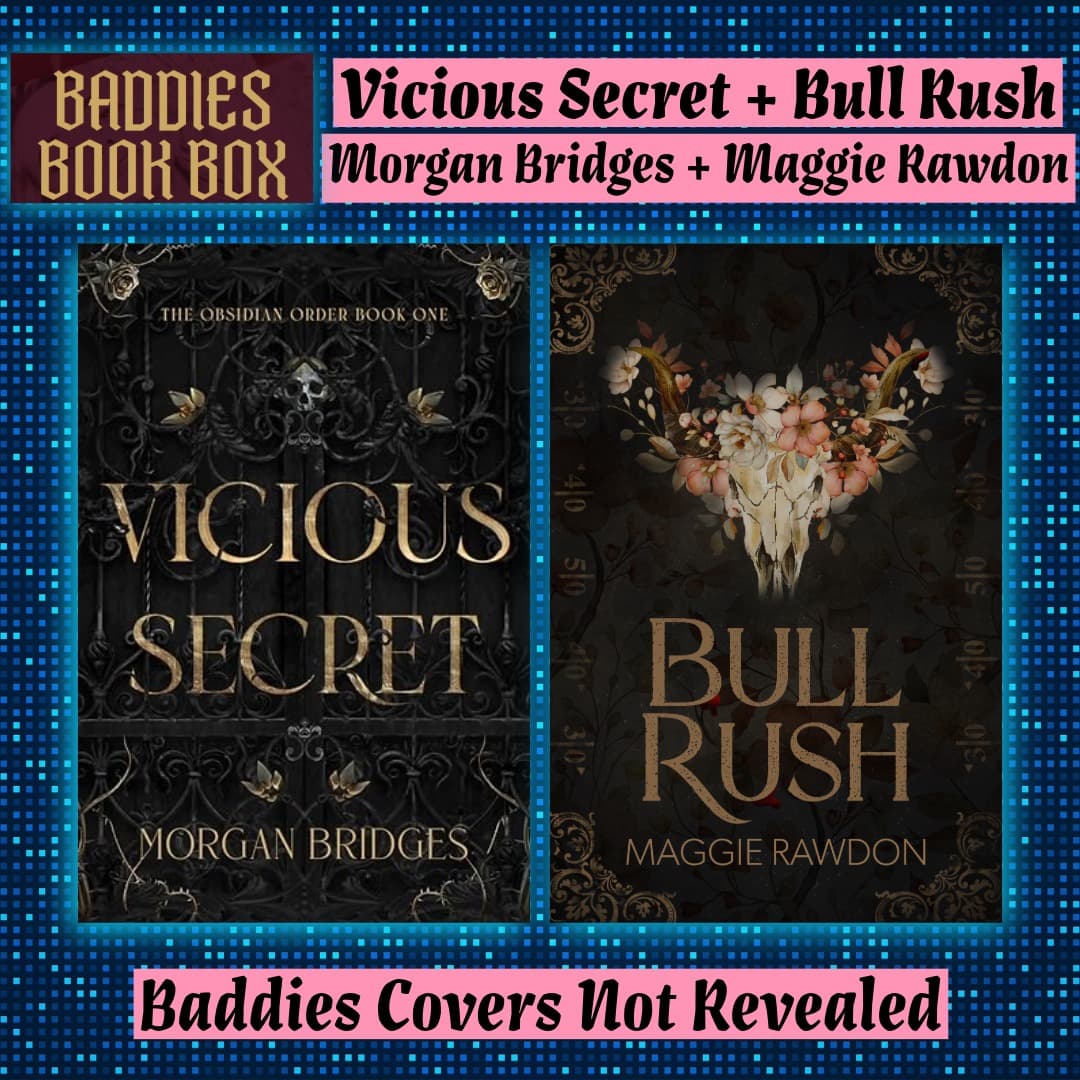 Baddies Book Box November 2025 Edition