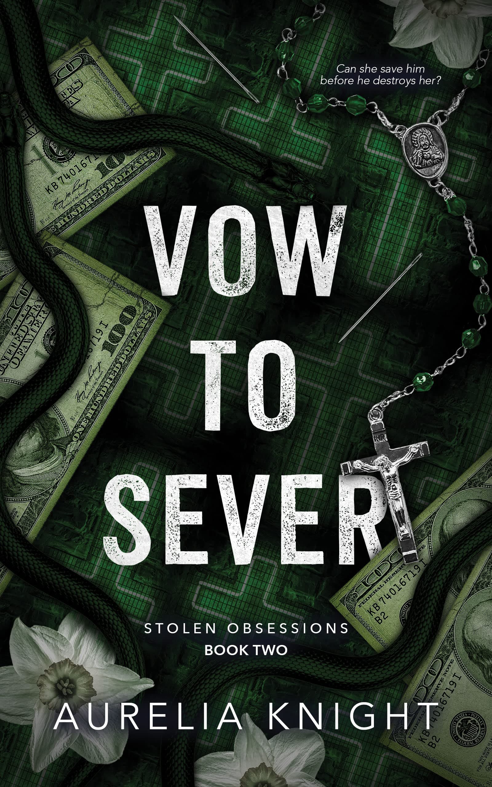 CreateSpace Independent Publishing Platform · 2011