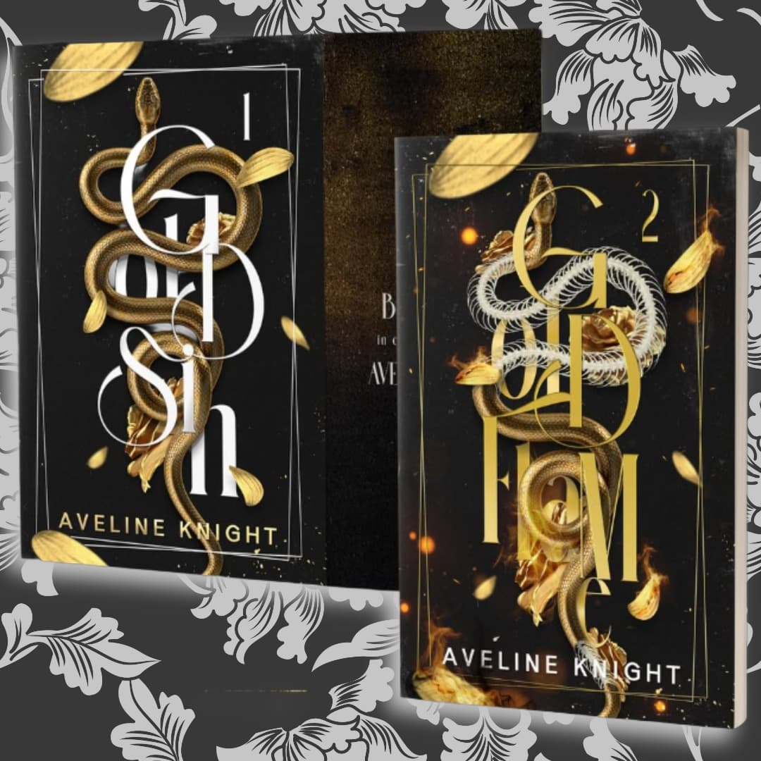 Midnight Bookshelf December 2025 Edition