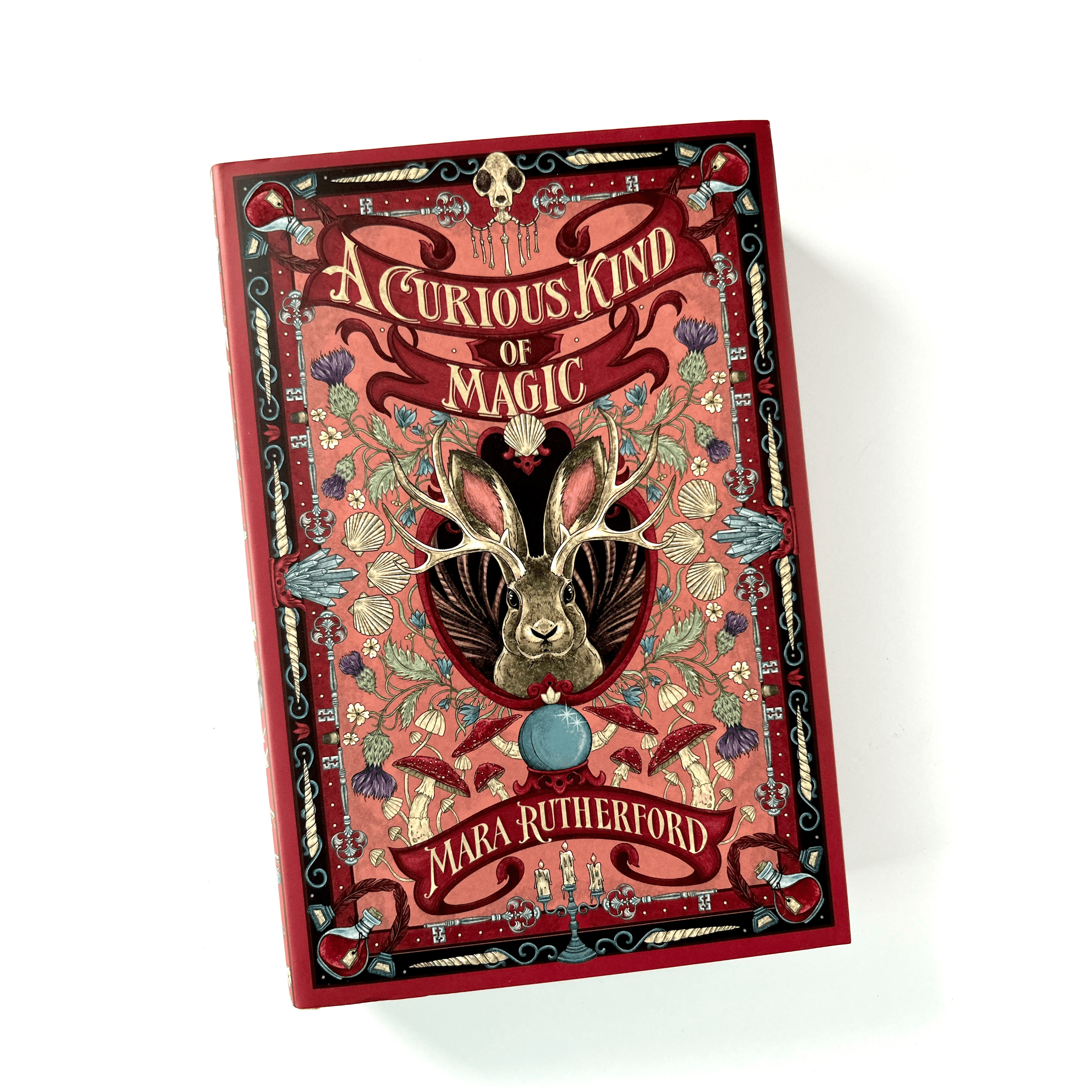 OwlCrate Jr. October 2025 Edition